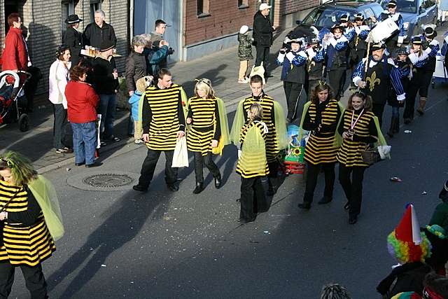 Karnevalszug 2008