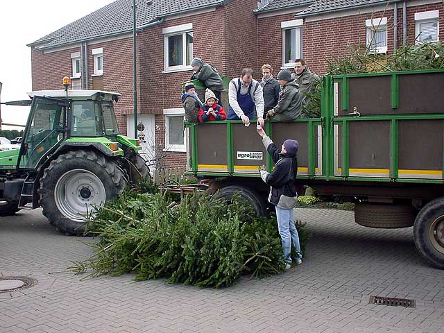 Weihnachtsbaum-Sammlung 2005