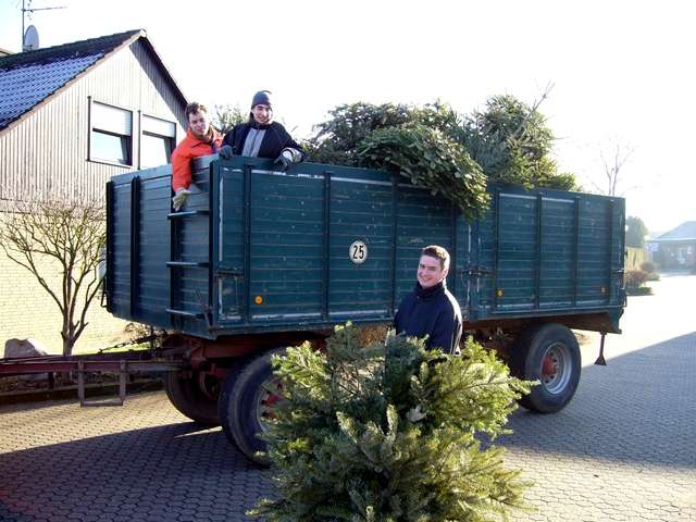 Weihnachtsbaum-Sammlung 2006