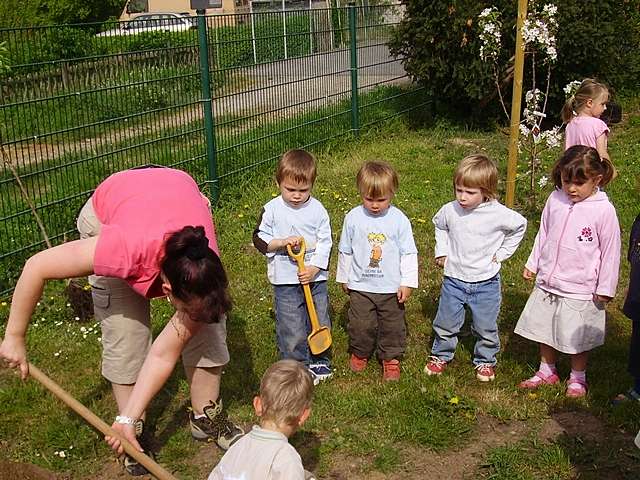 Pflanzaktion im Kindergarten