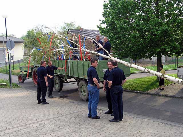 Maibaum 2004 der Feuerwehr