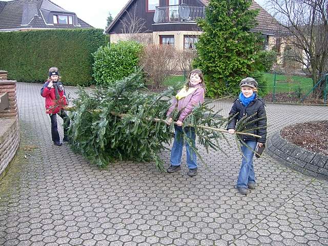 Weihnachtsbaum-Sammlung 2007
