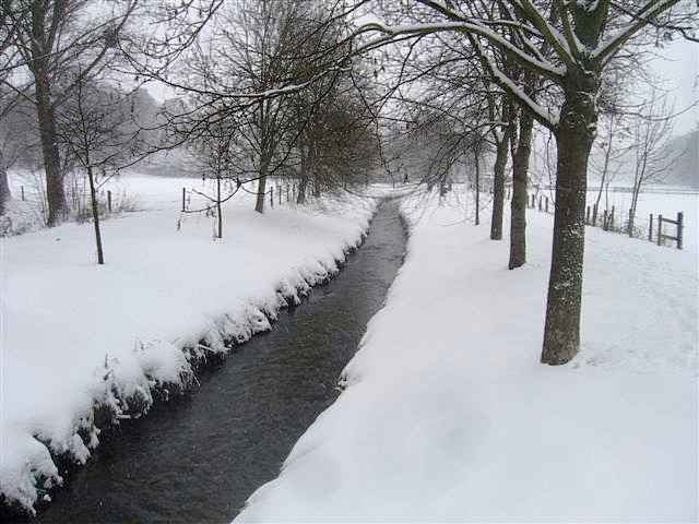 Winter Dezember 2010