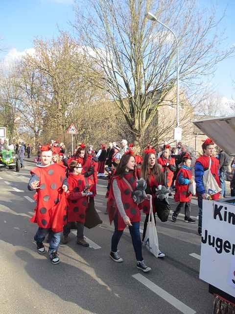 Karnevalszug 2014 - Bilder an der Kommandeursburg