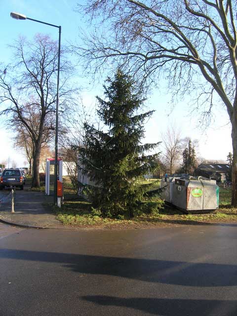 Weihnachtsbaum in Bergerhausen