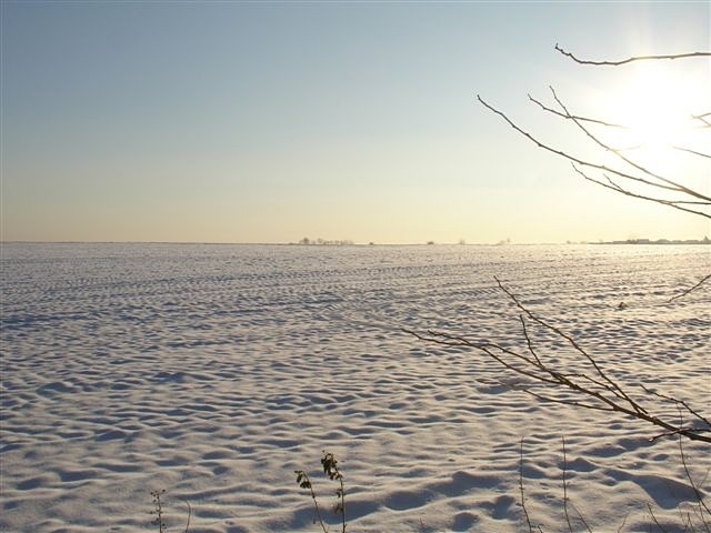 Winter 2009
