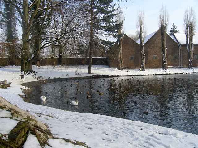 Winter 2010