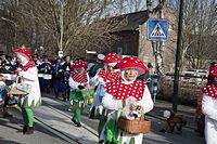 Karnevalszug 2013 - Kommandeursburg 1