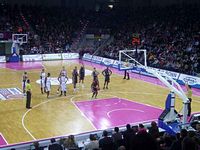 Tigers bei Telekom Baskets Bonn