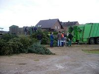 Weihnachtsbaum-Sammlung 2007
