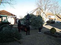 Weihnachtsbaum-Sammlung 2013